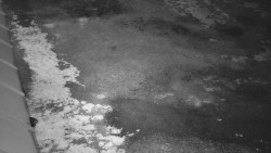 Nástup na běžecké tratě