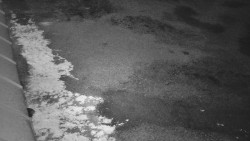 Nástup na běžecké tratě