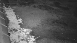 Nástup na běžecké tratě