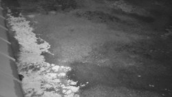 Nástup na běžecké tratě