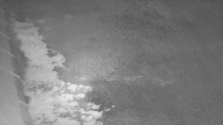 Nástup na běžecké tratě