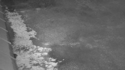 Nástup na běžecké tratě