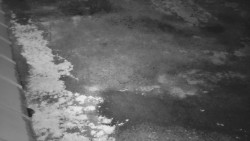 Nástup na běžecké tratě