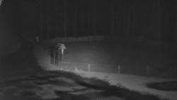 Nástup na běžecké tratě