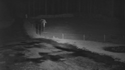 Nástup na běžecké tratě