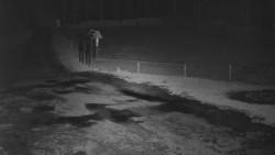 Nástup na běžecké tratě