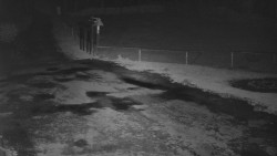 Nástup na běžecké tratě