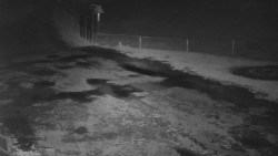 Nástup na běžecké tratě