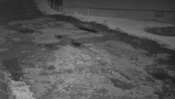 Nástup na běžecké tratě