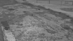 Nástup na běžecké tratě