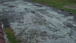 Nástup na běžecké tratě