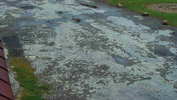 Nástup na běžecké tratě