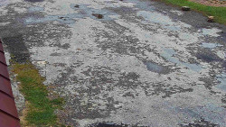 Nástup na běžecké tratě