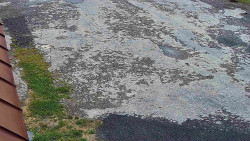 Nástup na běžecké tratě