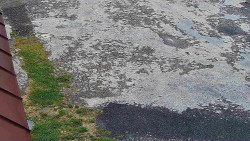 Nástup na běžecké tratě