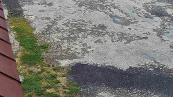 Nástup na běžecké tratě