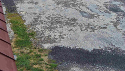 Nástup na běžecké tratě