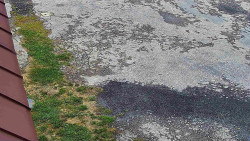 Nástup na běžecké tratě