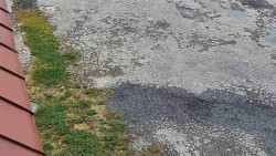 Nástup na běžecké tratě