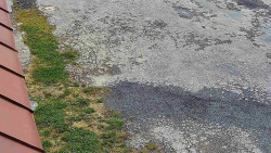 Nástup na běžecké tratě