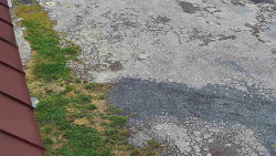 Nástup na běžecké tratě