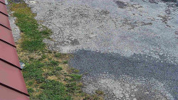 Nástup na běžecké tratě