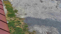 Nástup na běžecké tratě