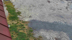 Nástup na běžecké tratě