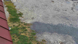 Nástup na běžecké tratě