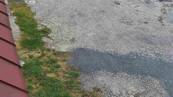 Nástup na běžecké tratě