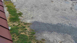 Nástup na běžecké tratě