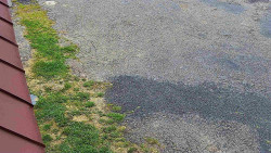 Nástup na běžecké tratě