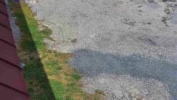 Nástup na běžecké tratě