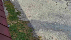 Nástup na běžecké tratě