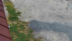 Nástup na běžecké tratě