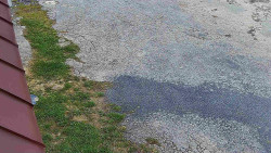 Nástup na běžecké tratě