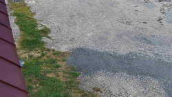 Nástup na běžecké tratě