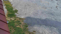 Nástup na běžecké tratě