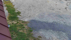 Nástup na běžecké tratě