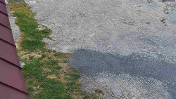 Nástup na běžecké tratě