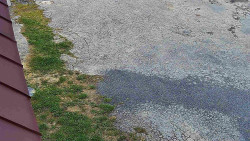 Nástup na běžecké tratě