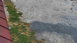 Nástup na běžecké tratě