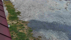 Nástup na běžecké tratě