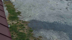 Nástup na běžecké tratě