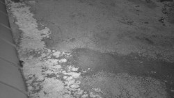 Nástup na běžecké tratě