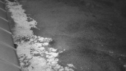 Nástup na běžecké tratě