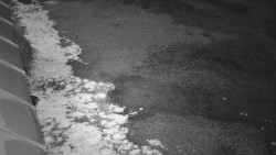 Nástup na běžecké tratě