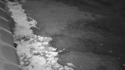 Nástup na běžecké tratě