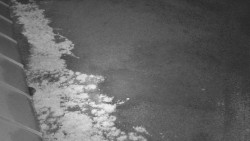 Nástup na běžecké tratě