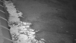 Nástup na běžecké tratě